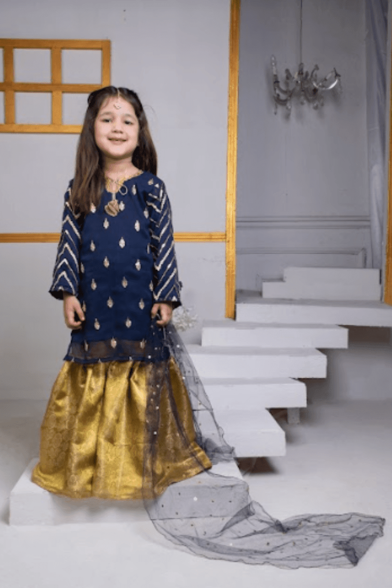 Cheeco Chic - NCBM22 - Embroidered Chiffon Shirt with Gharara - Kids - 3 Piece - Studio by TCS