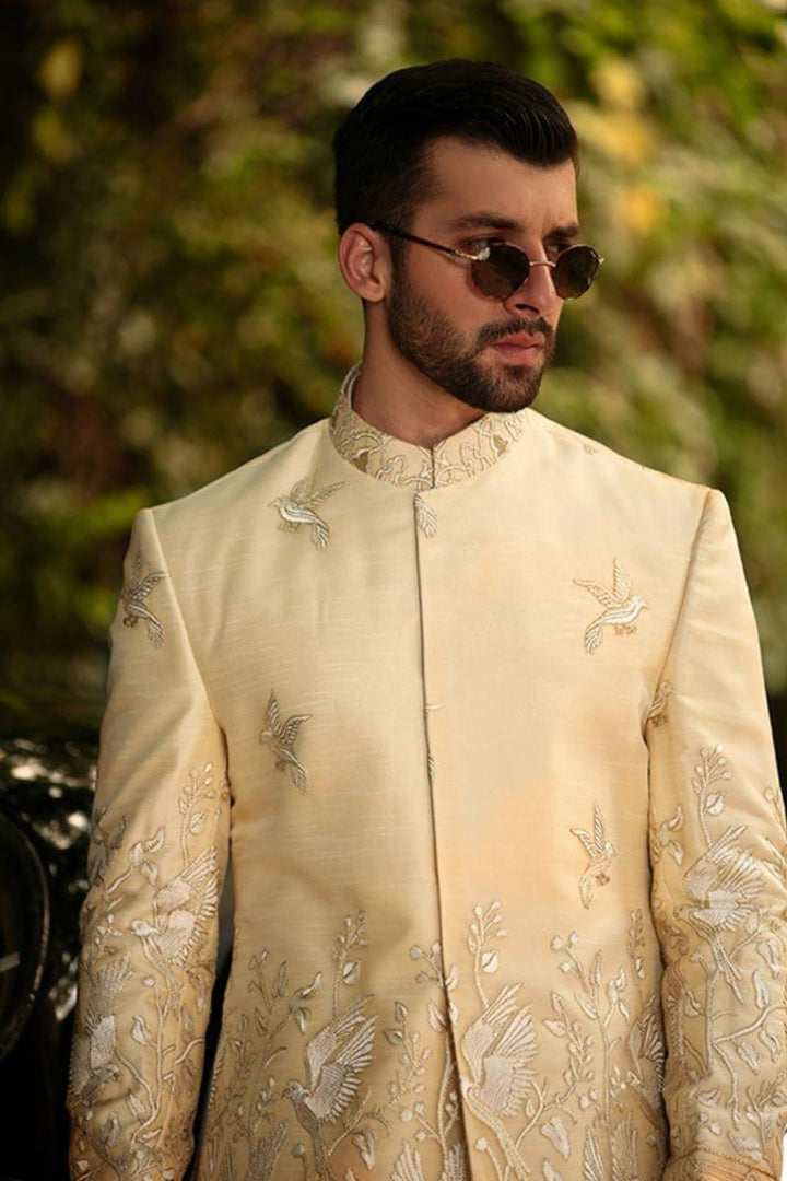 GEM Garments - Squab - Sherwani - Biege - 1 Piece - Viscose Polyester - Studio by TCS