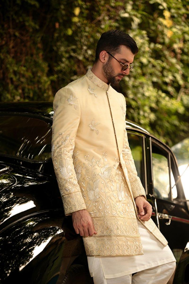 GEM Garments - Squab - Sherwani - Biege - 1 Piece - Viscose Polyester - Studio by TCS